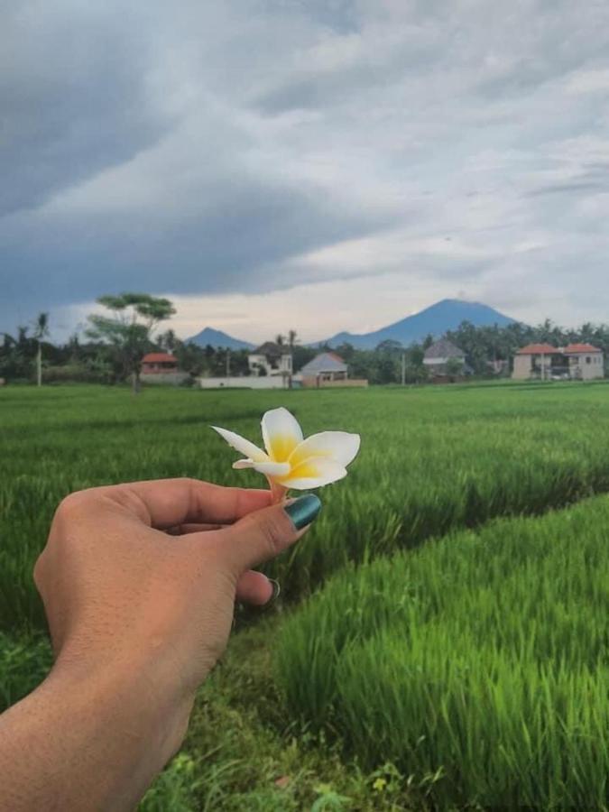 Svaha Ubud Εξωτερικό φωτογραφία